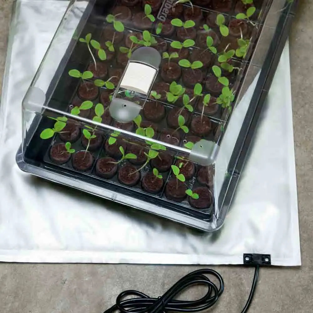 MINI-SERRE AVEC AERATIONS + NAPPE CHAUFFANTE 