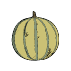 Graines de melons
