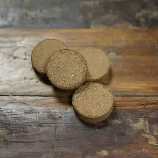 PASTILLES DE COCO x 20 (diam 3,5 cm) 