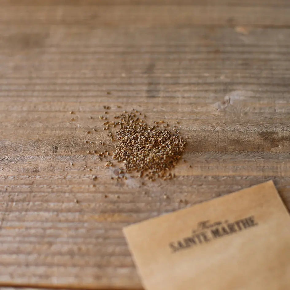 PERSIL TUBEREUX HALFLANGE RACE HILMAR AB