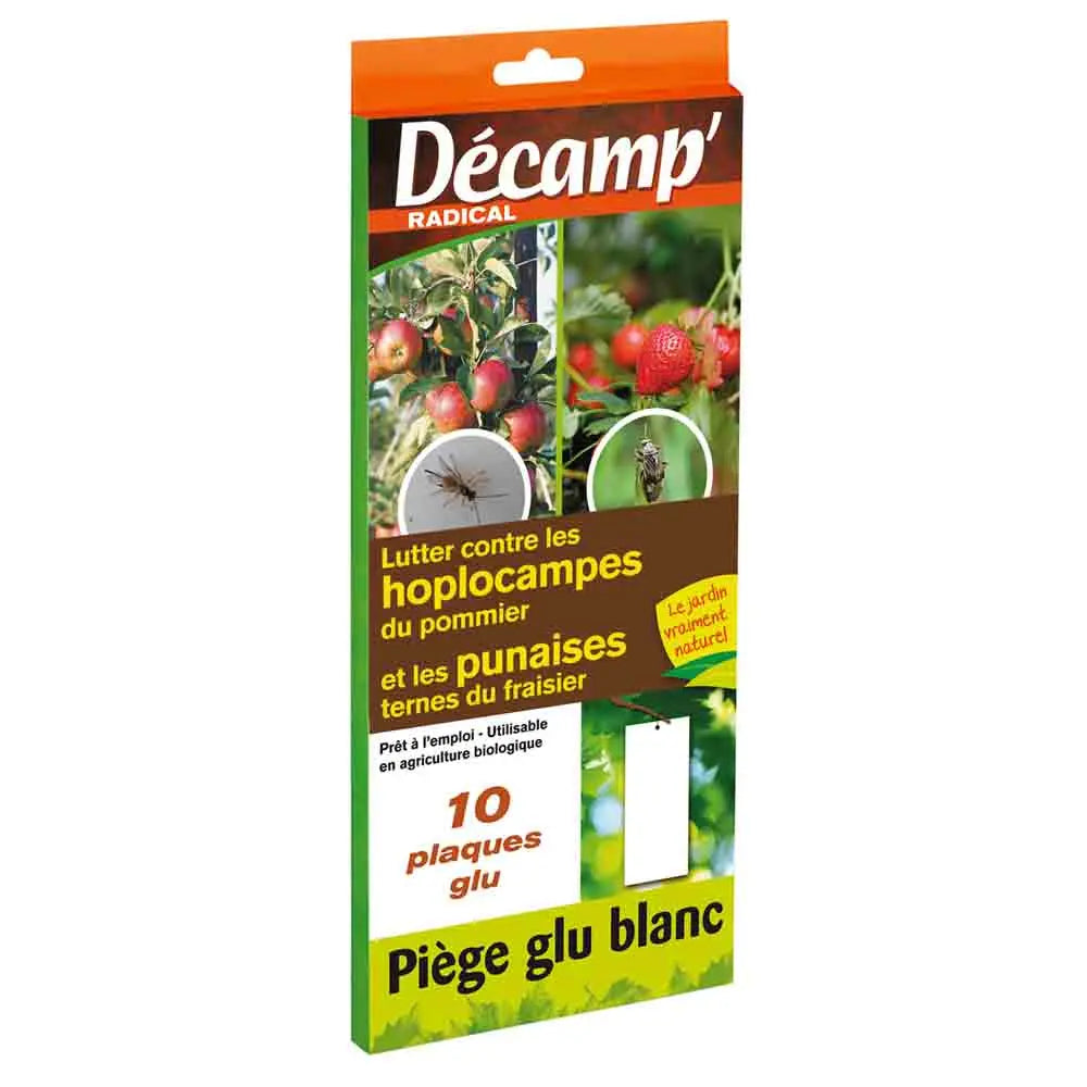 PIEGE CHROMATIQUE ENGLUE BLANC : CONTRE LES HOPLOCAMPES DU POMMIER ET PUNAISES TERNES DU FRAISIER 