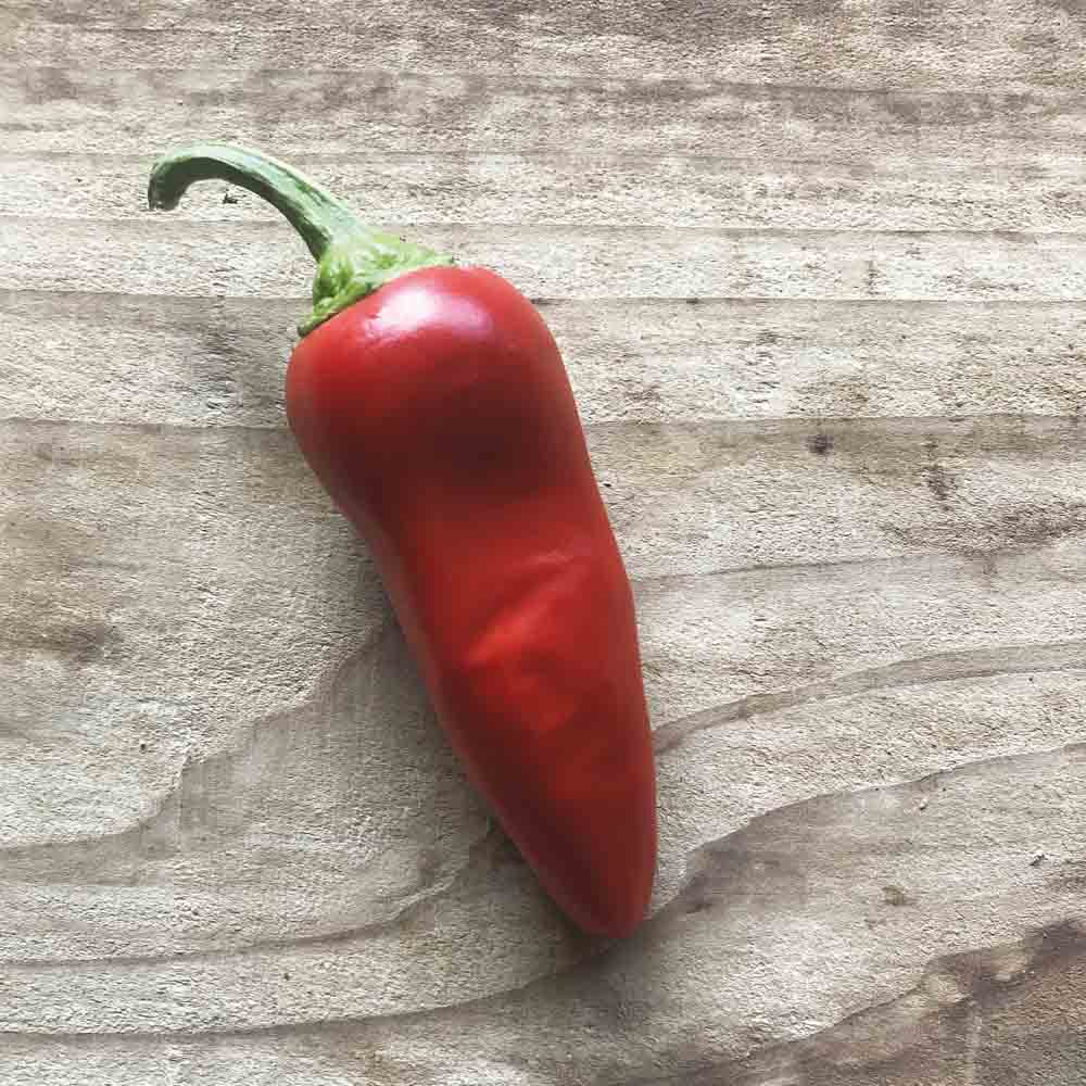 PIMENT GORRIA TYPE ESPELETTE AB 