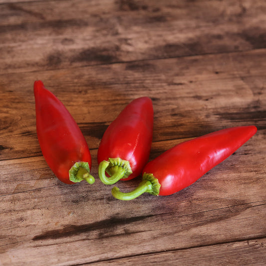 PIMENT GORRIA TYPE ESPELETTE AB 