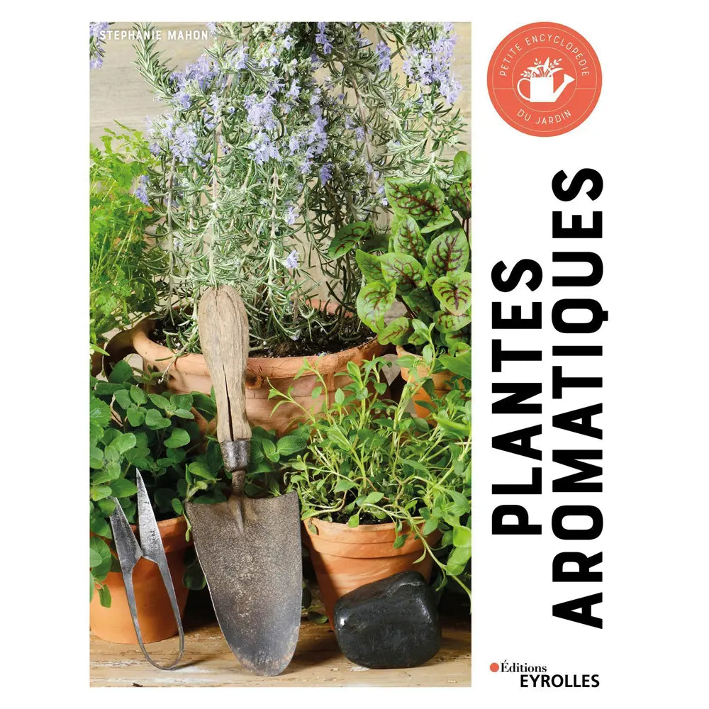 PLANTES AROMATIQUES 