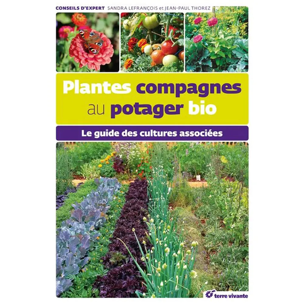 PLANTES COMPAGNES AU POTAGER BIO 