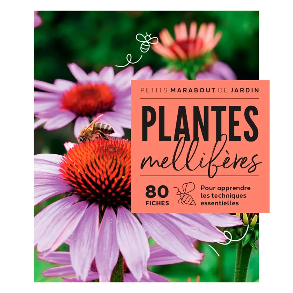 PLANTES MELLIFÈRES 