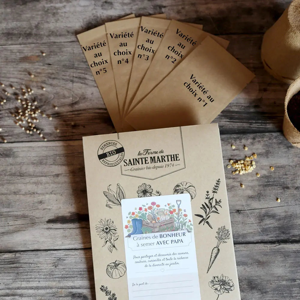 POCHETTE CADEAU BONNE FÊTE PAPA 