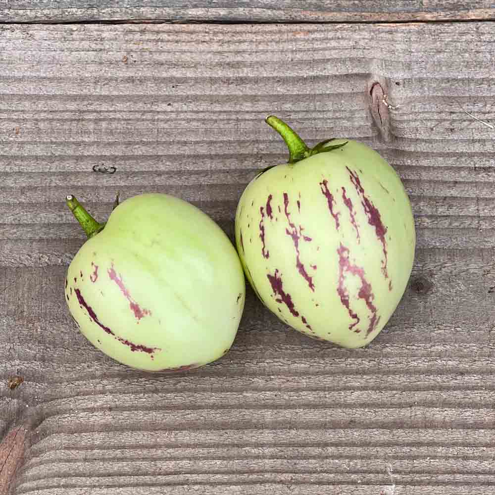 POIRE MELON AB- PLANT 