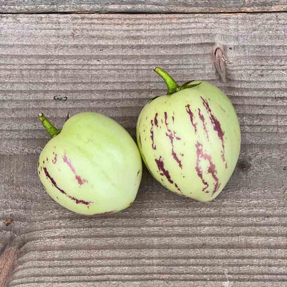POIRE MELON AB- PLANT 