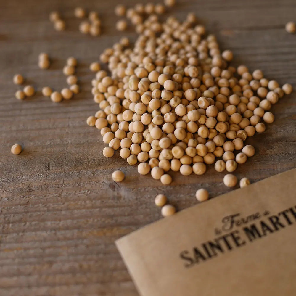 POIS DEMI-RAMANT PRECOCE DE MAI (OU PRINCE ALBERT) GRAIN ROND A ECOSSER AB 