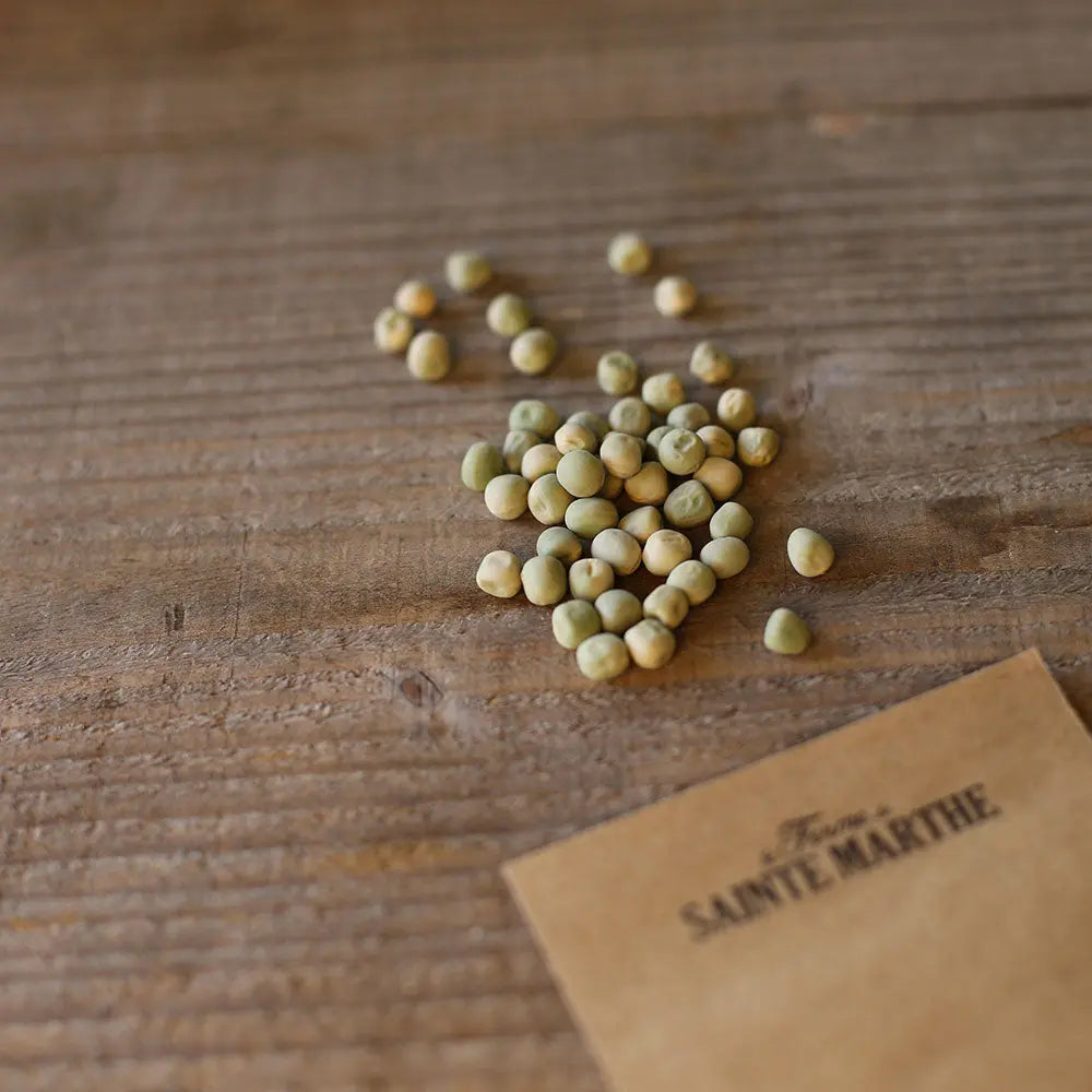 POIS NAIN DOUCE PROVENCE GRAIN ROND A ECOSSER AB 
