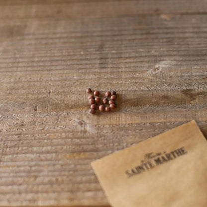 POIS NAIN PETIT PROVENCAL GRAIN ROND A ECOSSER NT 