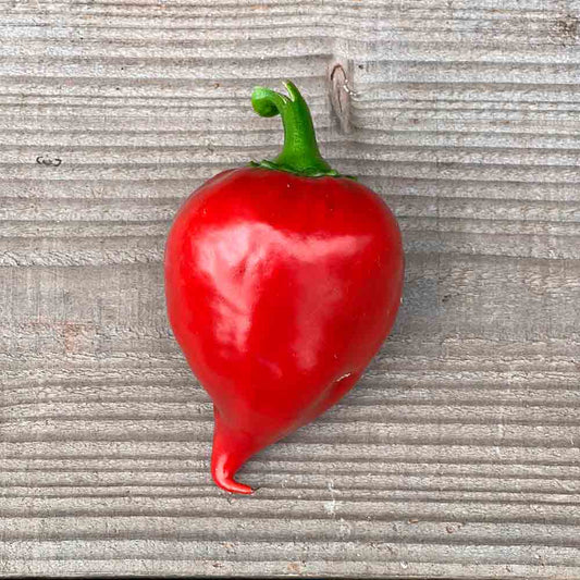POIVRON LESIA AB 