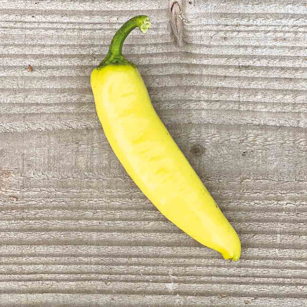 POIVRON SWEET BANANA AB 