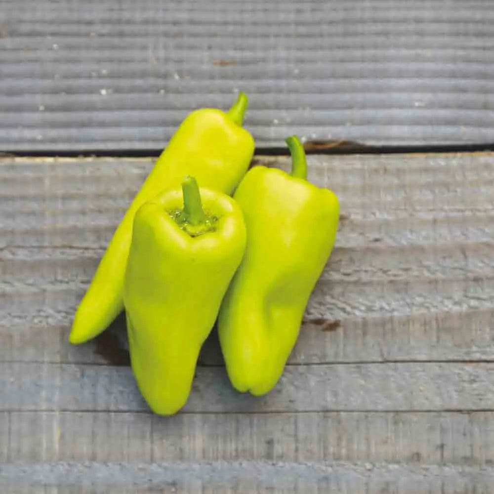 POIVRON SWEET BANANA JAUNE CLAIR AB 