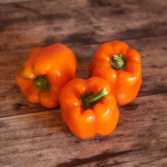 POIVRON CALIFORNIA ORANGE WONDER AB 