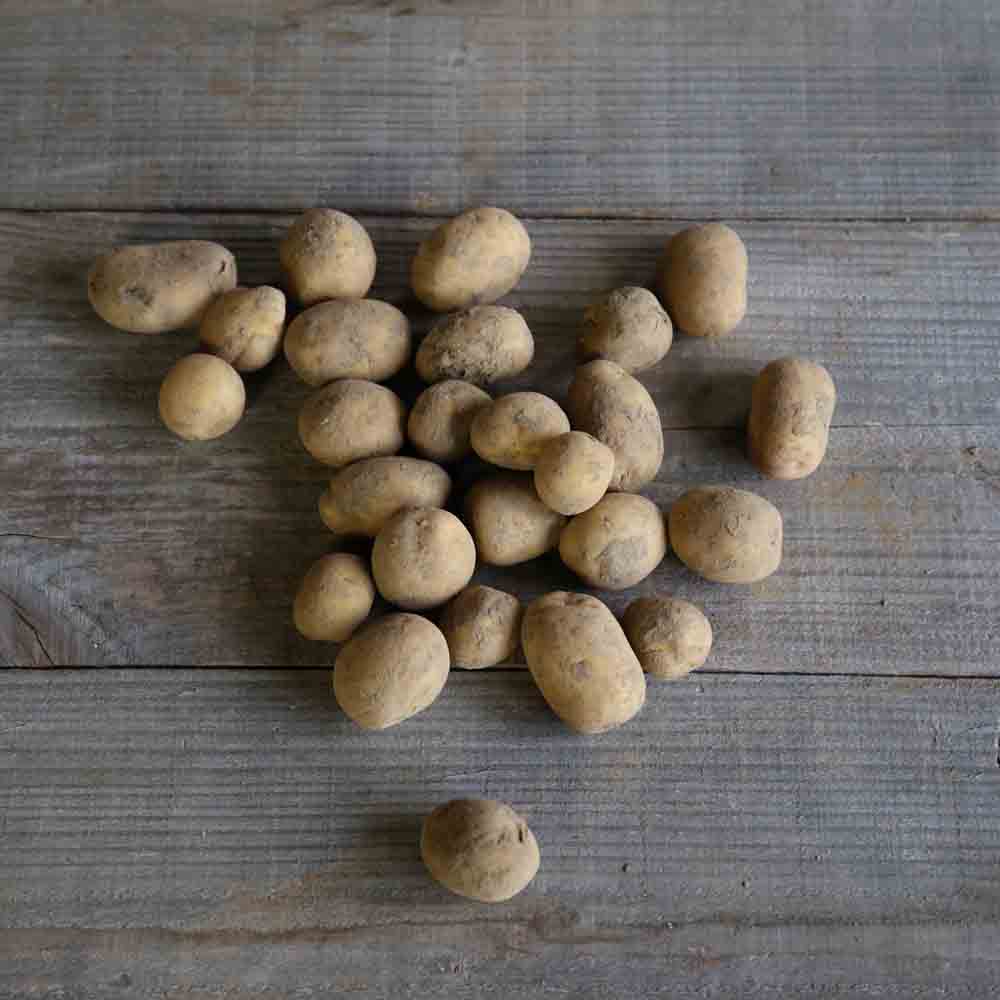 POMME DE TERRE ETINCELLE AB 