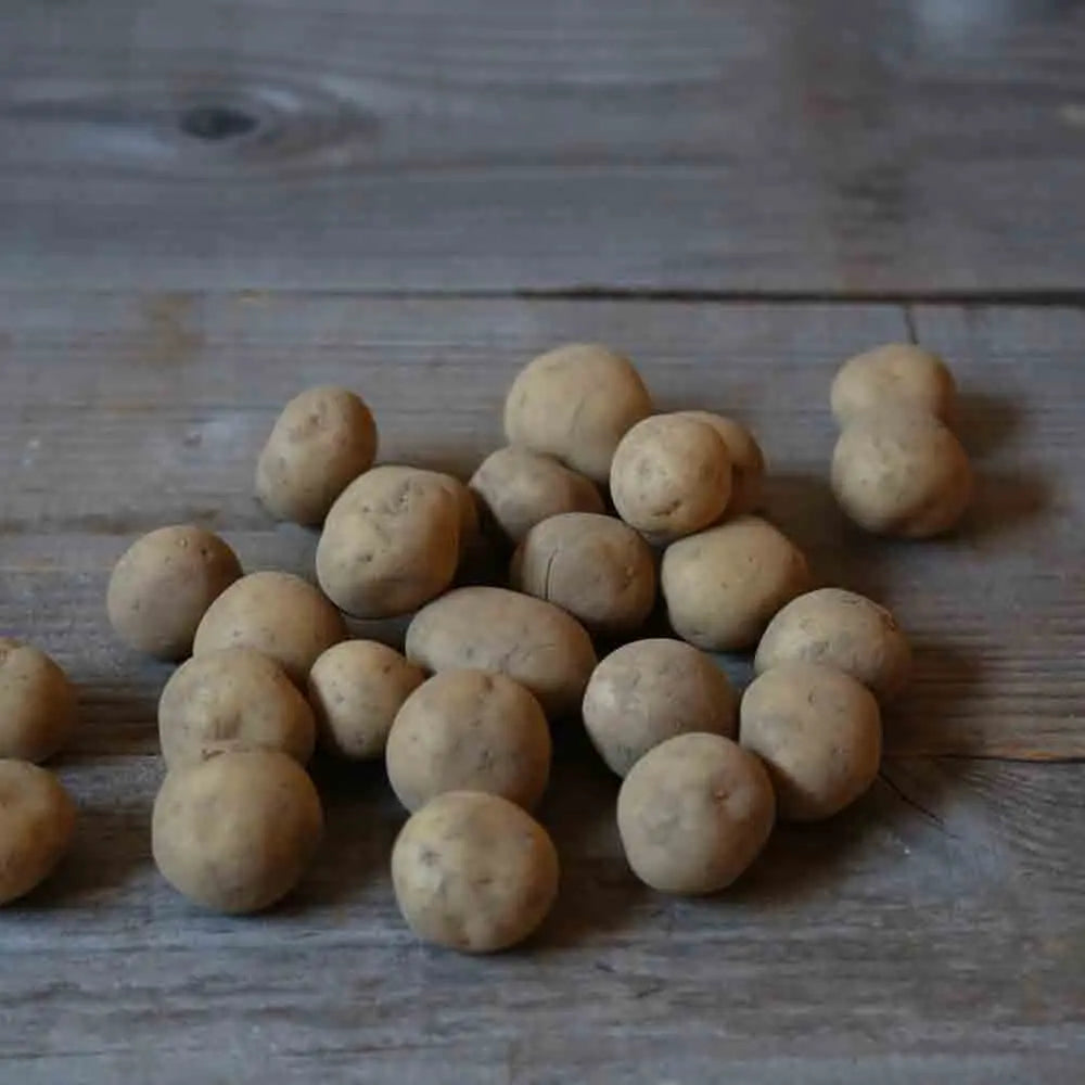 POMME DE TERRE TWISTER AB 