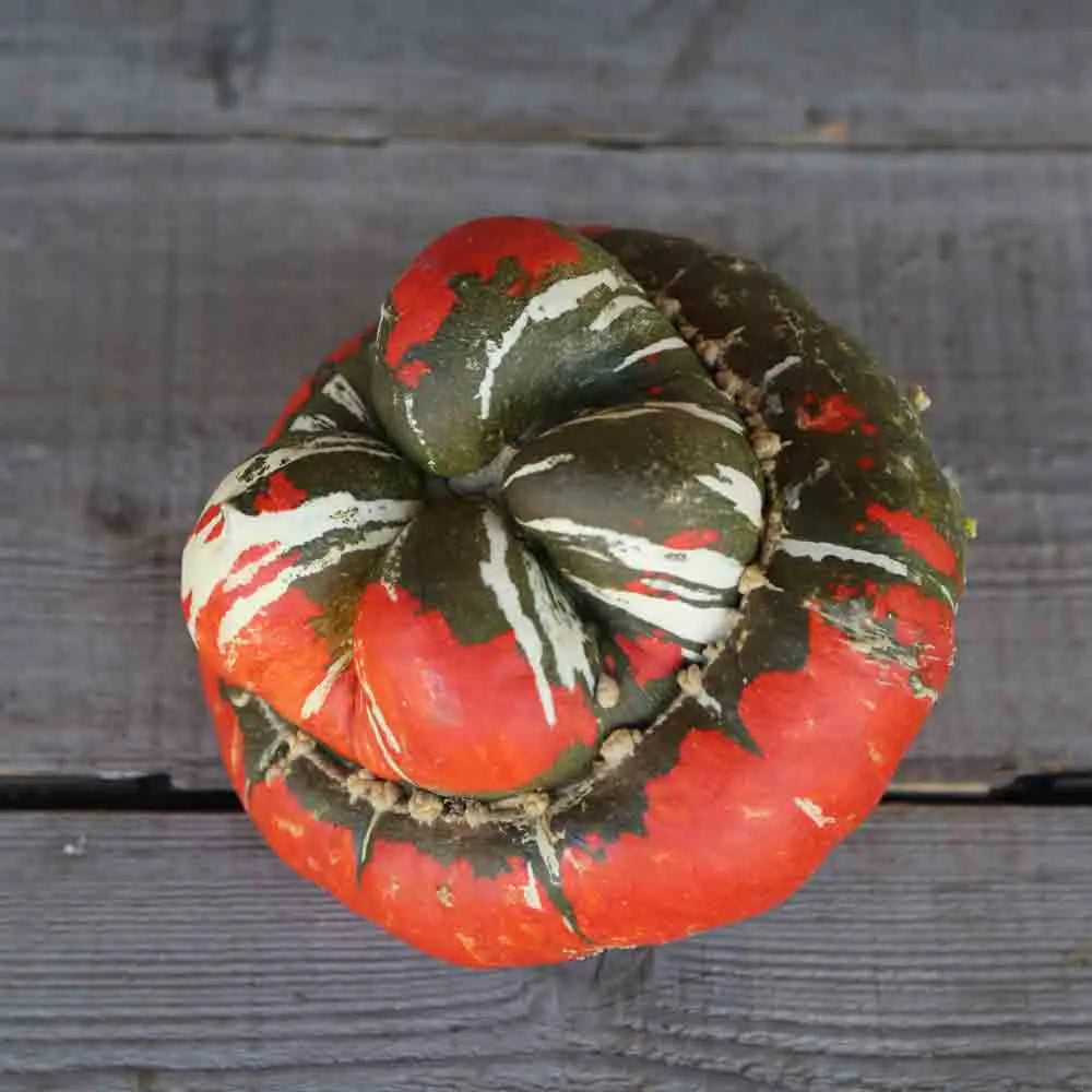 POTIRON PETIT BONNET TURC AB 