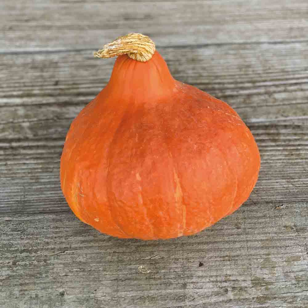 POTIRON POTIMARRON AB 