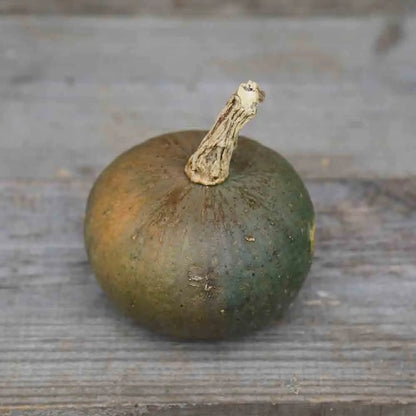POTIRON VERT OLIVE AB 