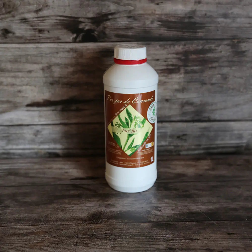 PUR JUS DE CONSOUDE 