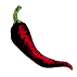 Graines de piments