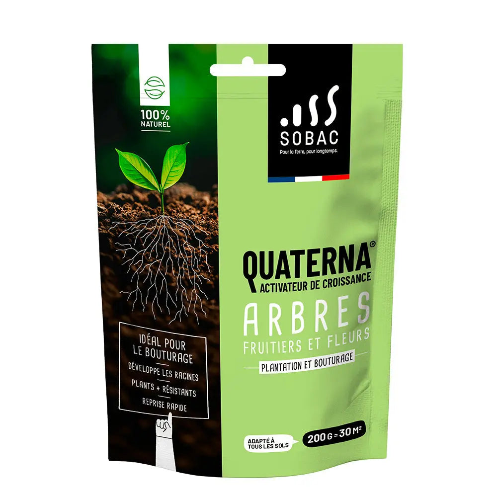 QUATERNA - Fruitiers, Arbres, Fleurs 