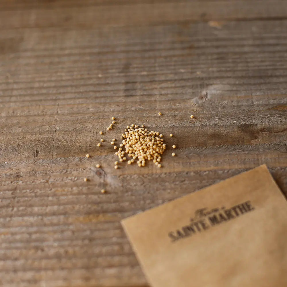 QUINOA AB 
