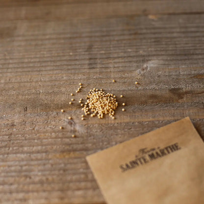 QUINOA AB 
