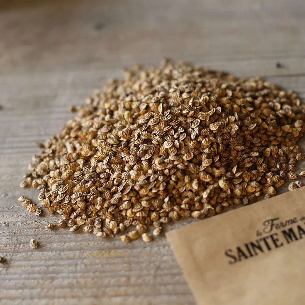 SAINFOIN AB 100 g 