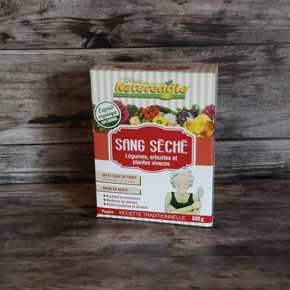 SANG SECHE 