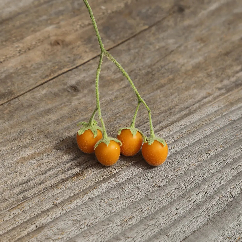TAMARILLO NAIN AB 