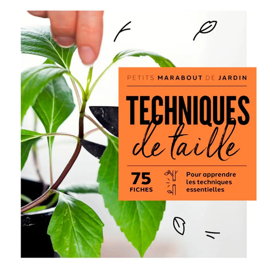 TECHNIQUES DE TAILLE 