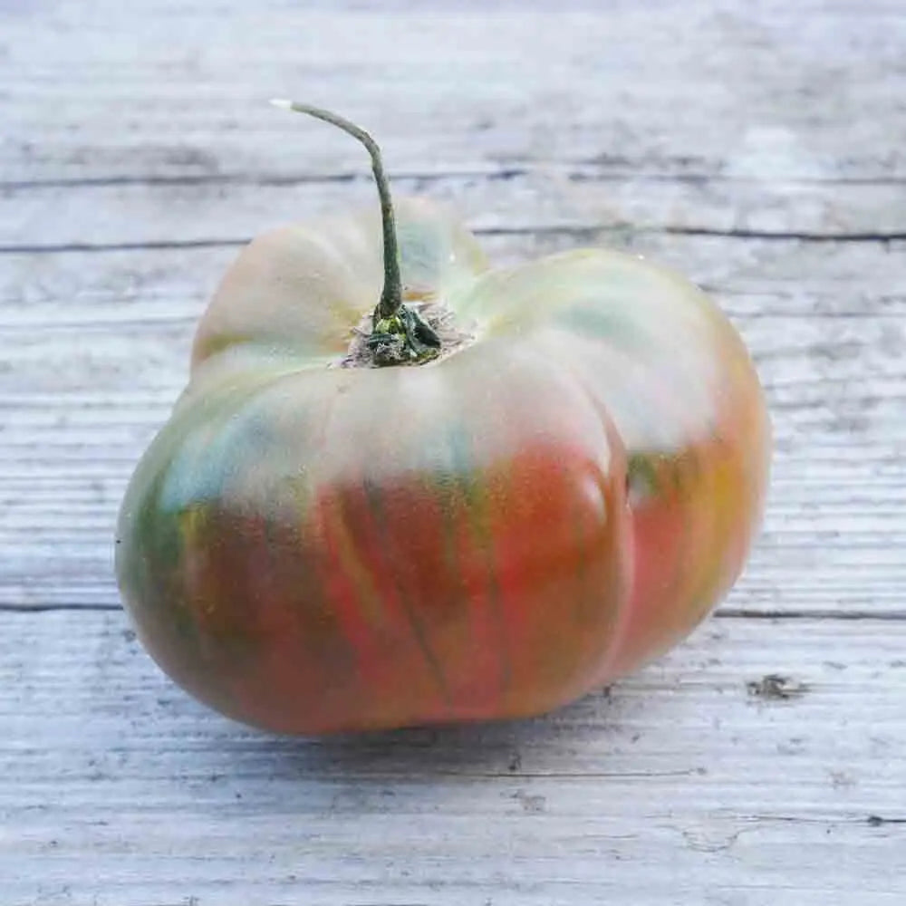 TOMATE ANANAS NOIRE AB 