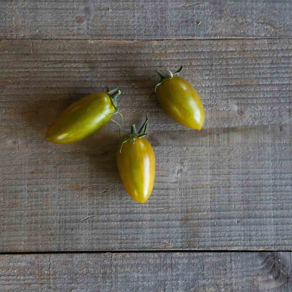 TOMATE ARTISAN GREEN TIGER AB 