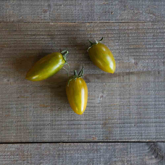 TOMATE ARTISAN GREEN TIGER AB 