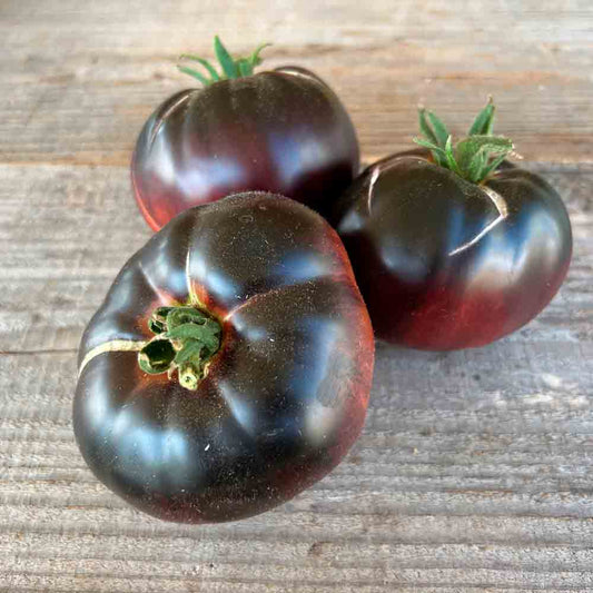 TOMATE BLACK BEAUTY AB 