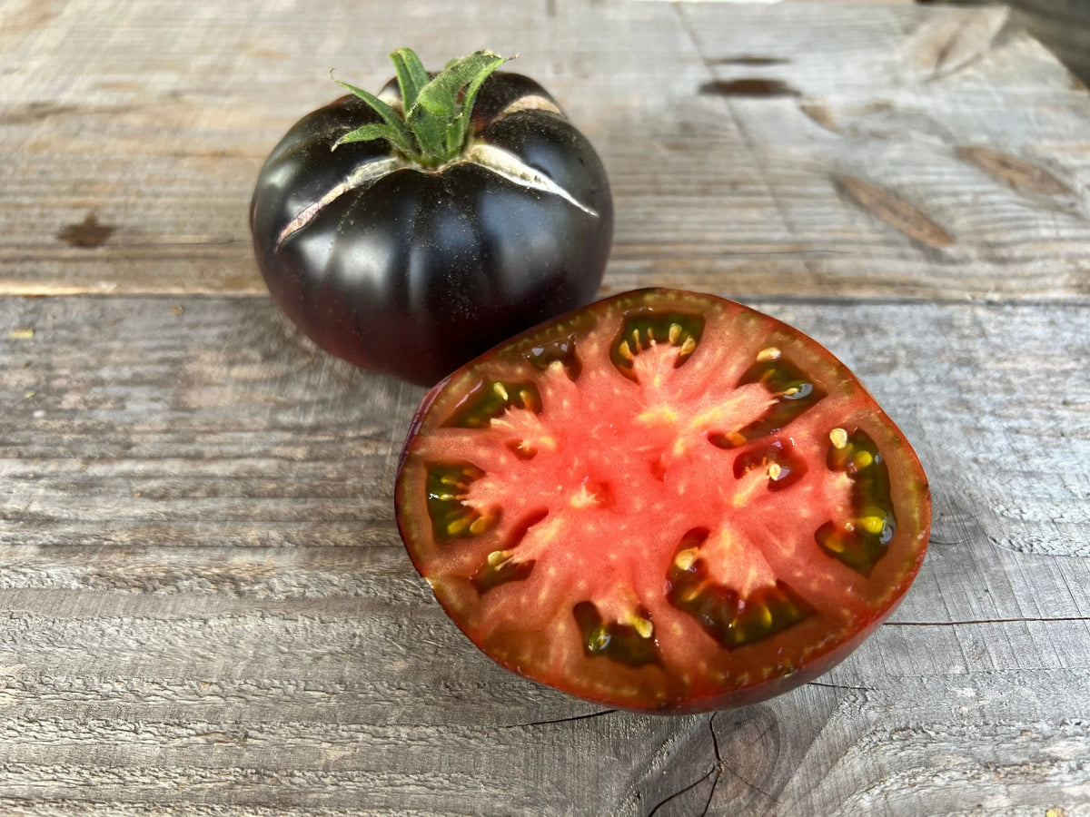 TOMATE BLACK BEAUTY AB 