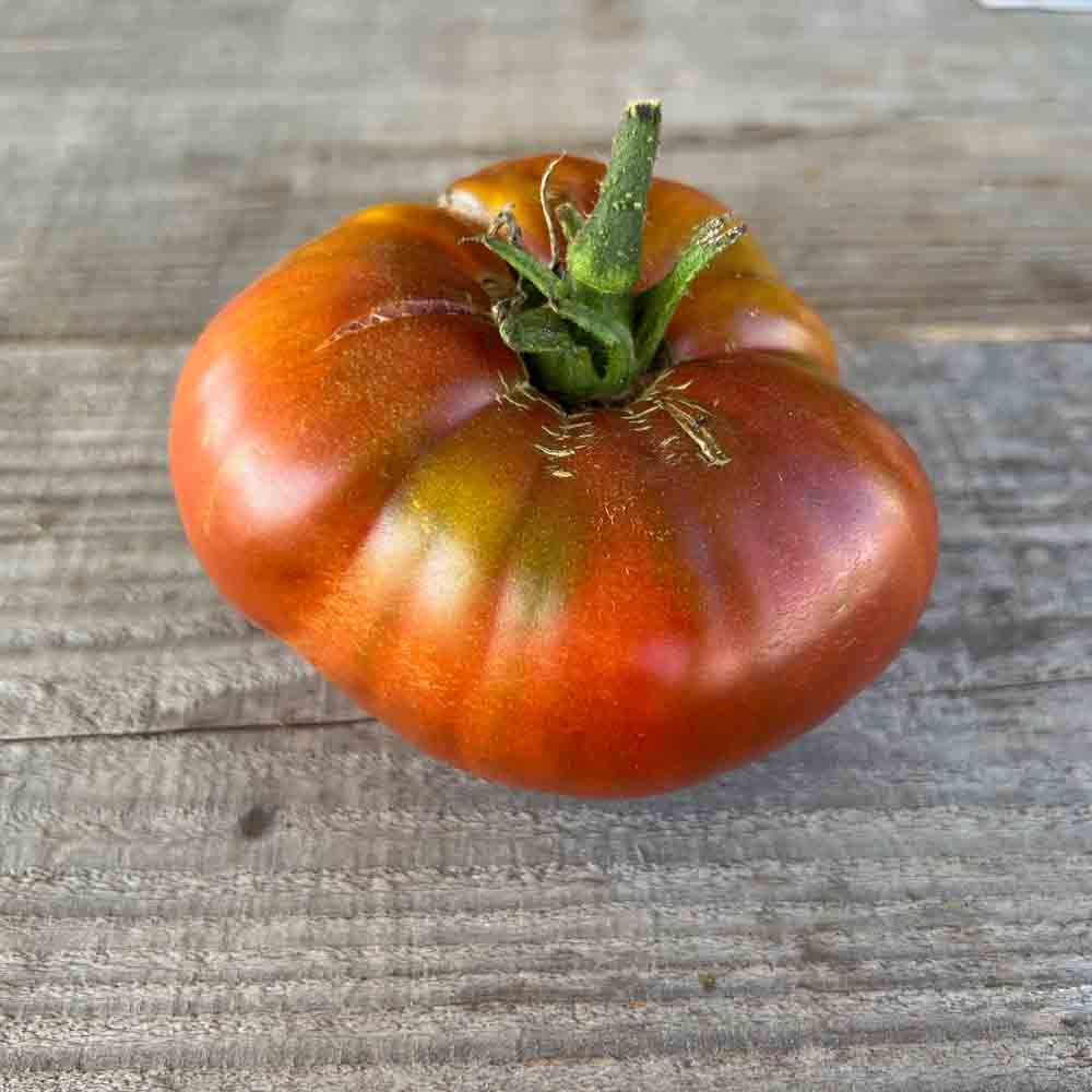 TOMATE BLACK FROM TULA AB 