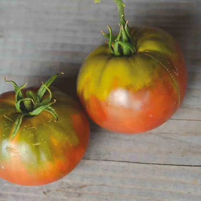 TOMATE BLACK SEA MAN AB 