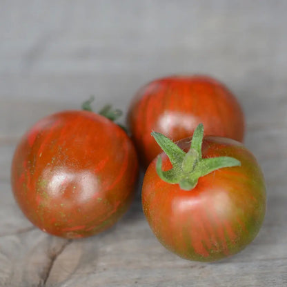 TOMATE CHERRY BLACK ZEBRA AB 