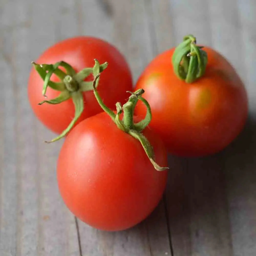 TOMATE BLOODY BUTCHER AB 