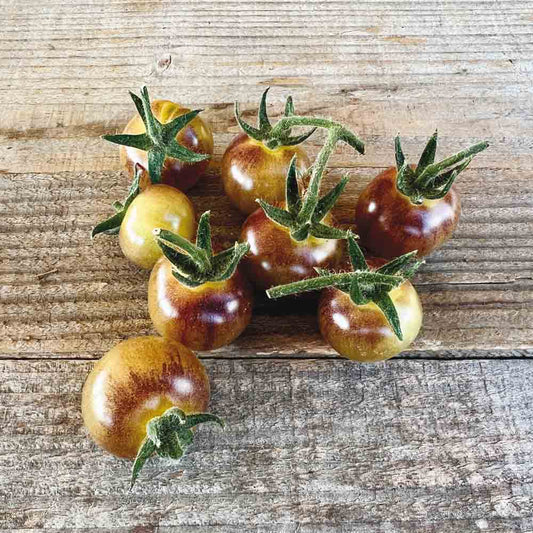 TOMATE BLUE CREAM BERRIES AB 