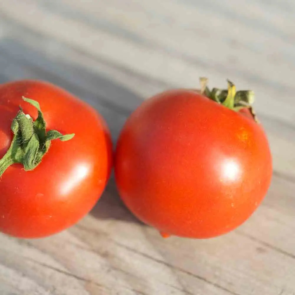 TOMATE BUDAI TORPE AB 