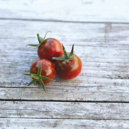 TOMATE CHINESE BLACK PEARL AB 