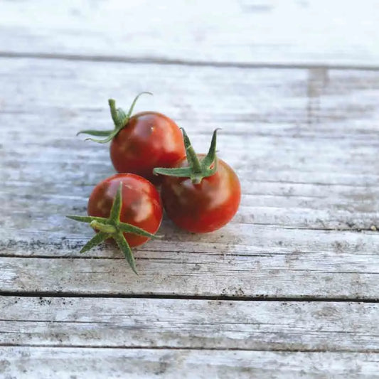 TOMATE CHINESE BLACK PEARL AB 