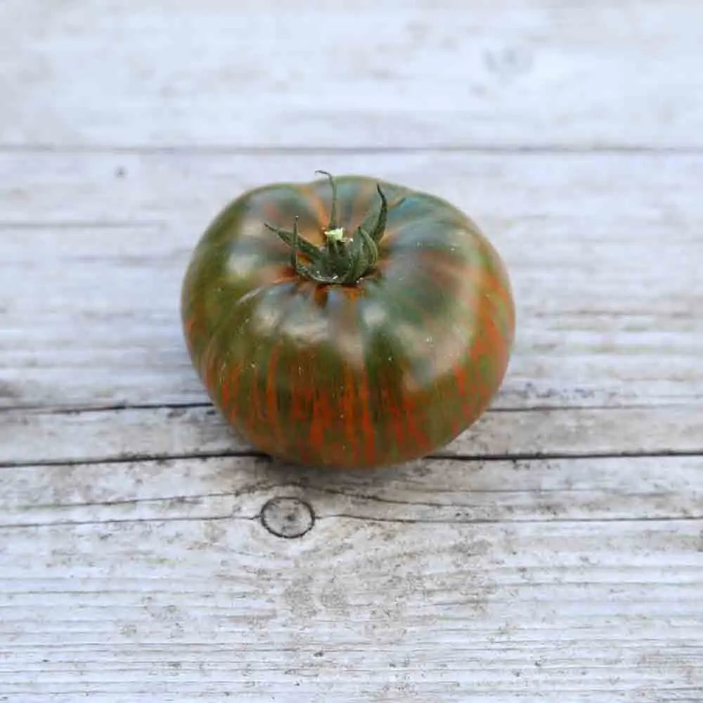 TOMATE CHOCOLATE STRIPES AB 