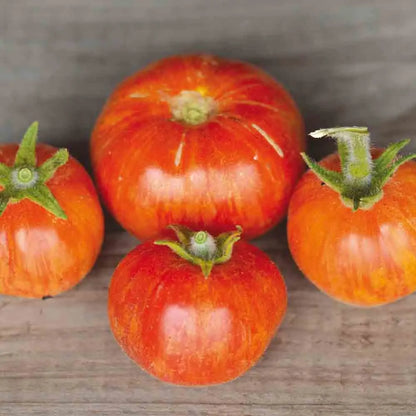 TOMATE ELBERTA PEACH AB 