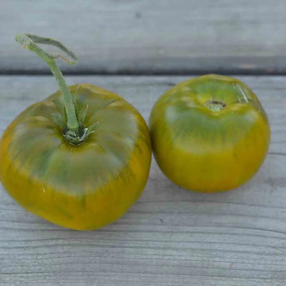 TOMATE EMERALD EVERGREEN AB 